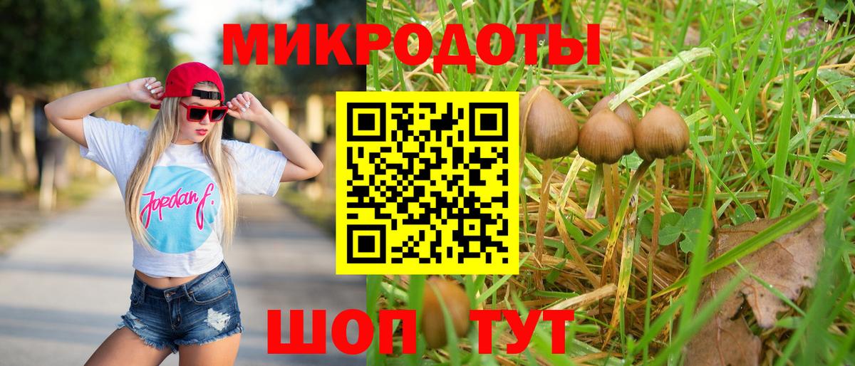 Псилоцибиновые грибы MAGIC MUSHROOMS Северск