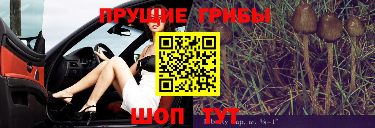 Северск  Галлюциногенные грибы GOLDEN TEACHER  Вход с VPN  Псилоцибиновые грибы GOLDEN TEACHER 